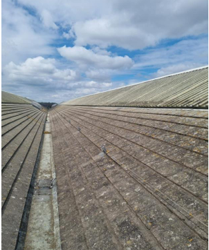 Commercial Buildings Moss Removal