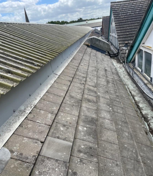 Commercial Buildings Moss Removal