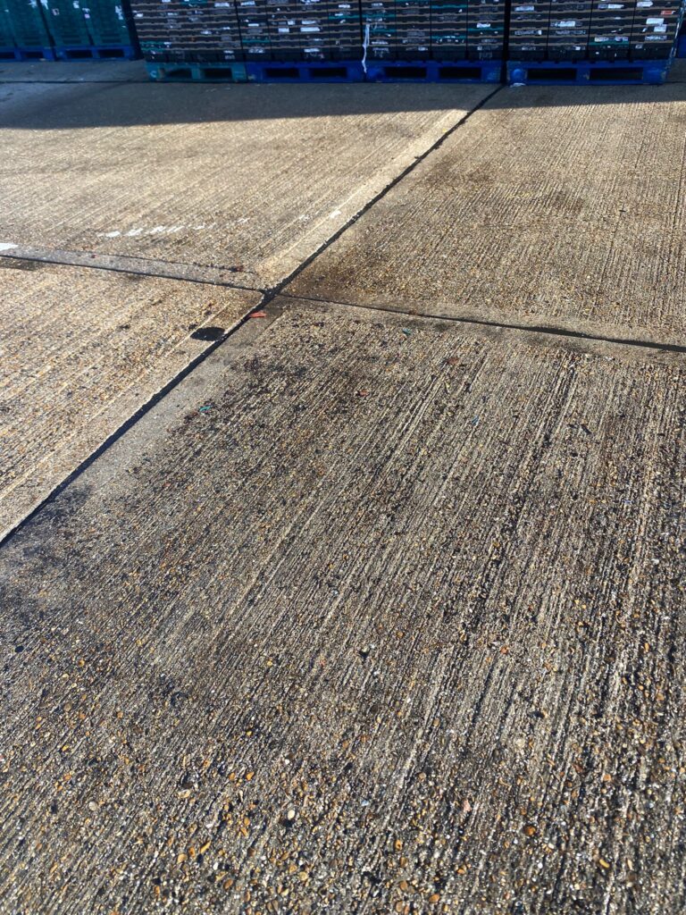 Commercial Yard Cleaning