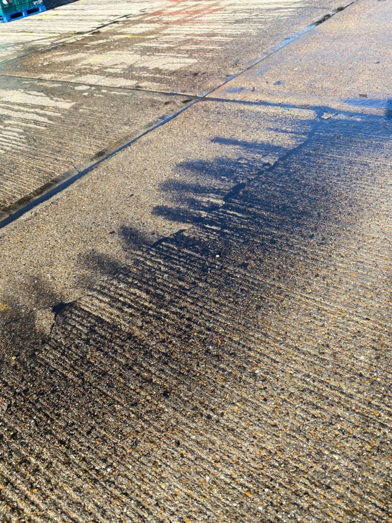 Commercial Yard Cleaning