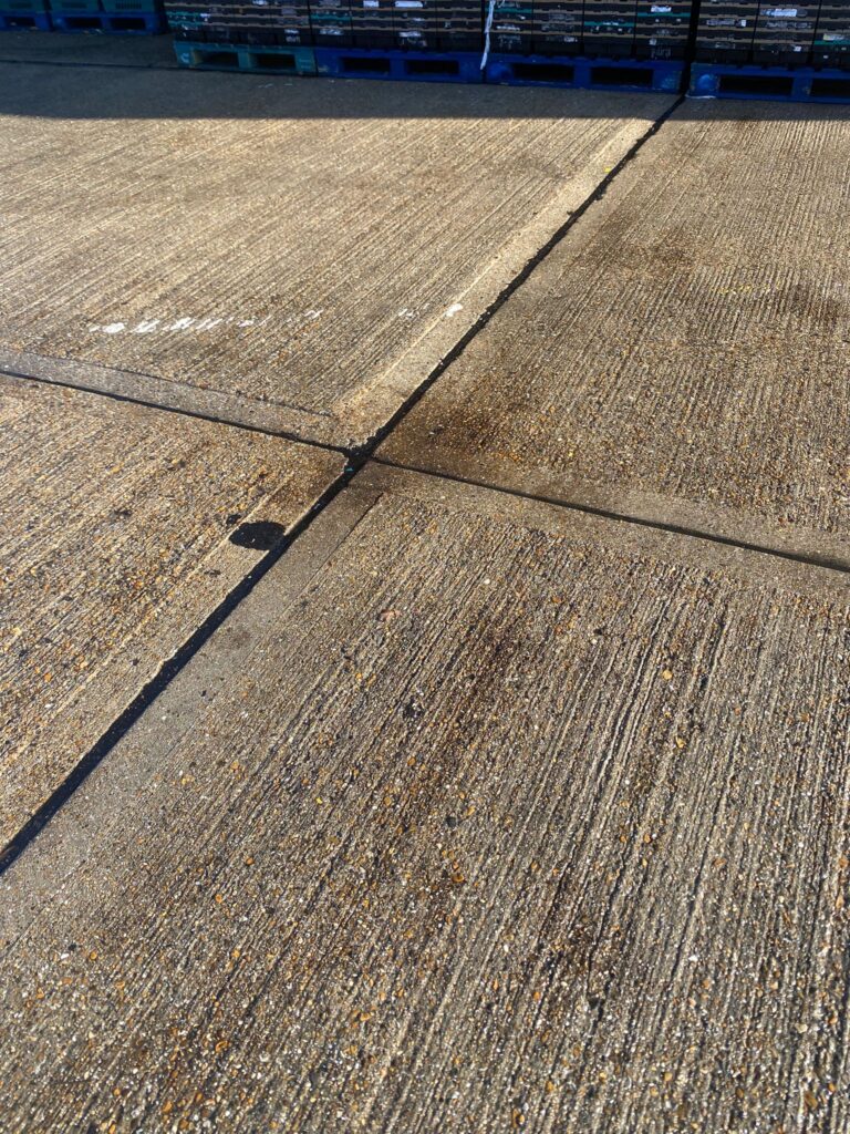 Commercial Yard Cleaning